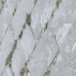 Meet your Posher, Gustavus